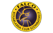 FALCO-Vulcano Energia KC Szombathely/B
