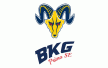 BKG-VMG DSE