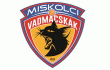 Miskolci SI Vadmacskák