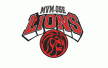 MVM-OSE Lions U14L