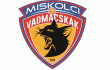 Miskolci Sportiskola Vadmacskák