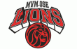 team logo