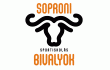 Soproni SI Gárdonyis Bivalyok