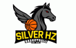 Silver HZ