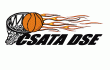 Csata DSE