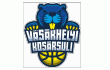 team logo