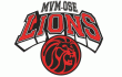 team logo