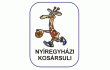 team logo