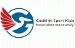 team logo