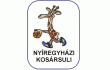 team logo
