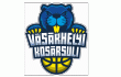 Vásárhelyi Rókák