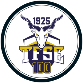 TFSE-MTK