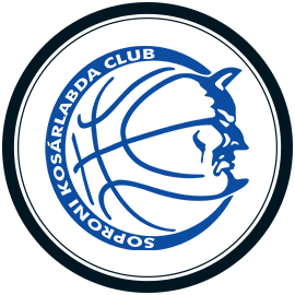 team logo