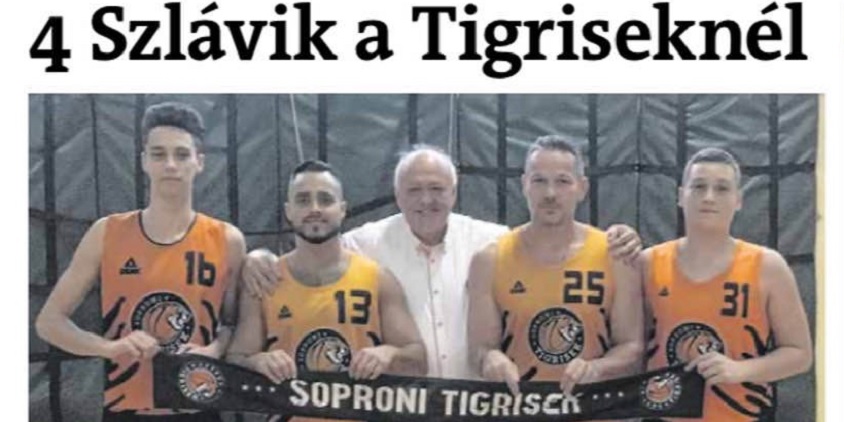 Négy Szlávik a Tigriseknél